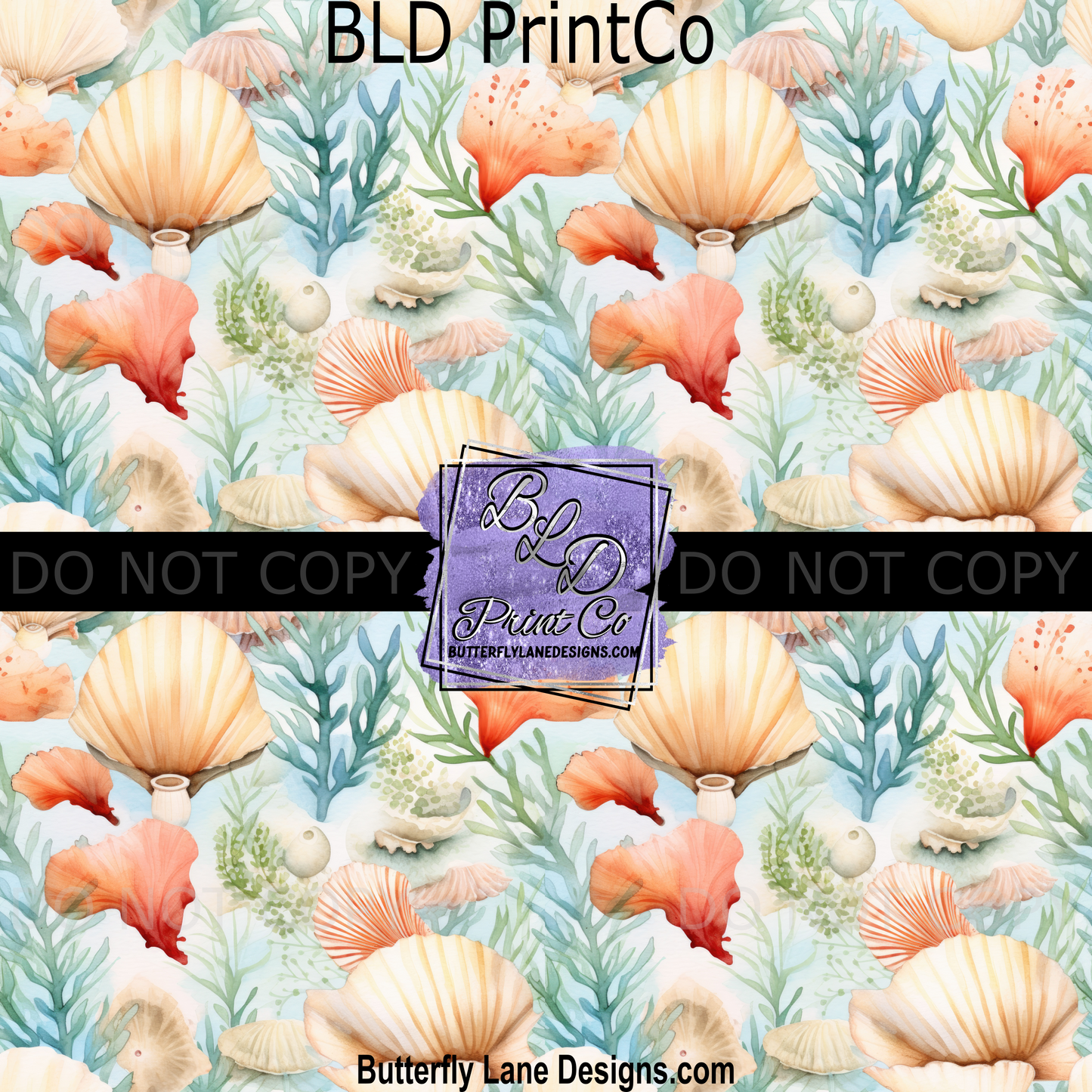 Beach Shells PV 1228