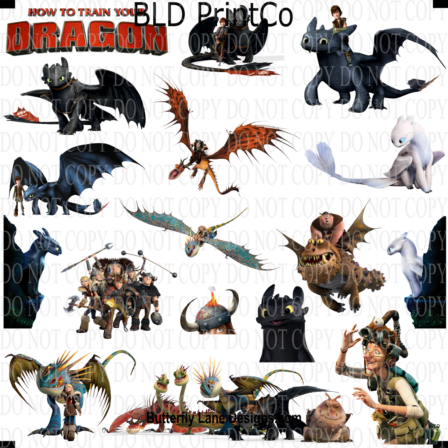 CAPS 46 Lizard Training Set 1