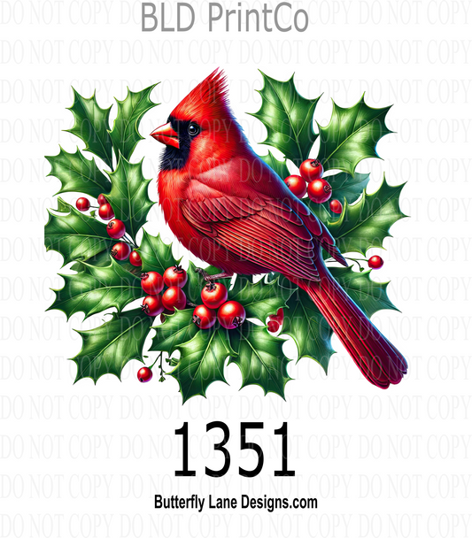 D1351 Winter Cardinal