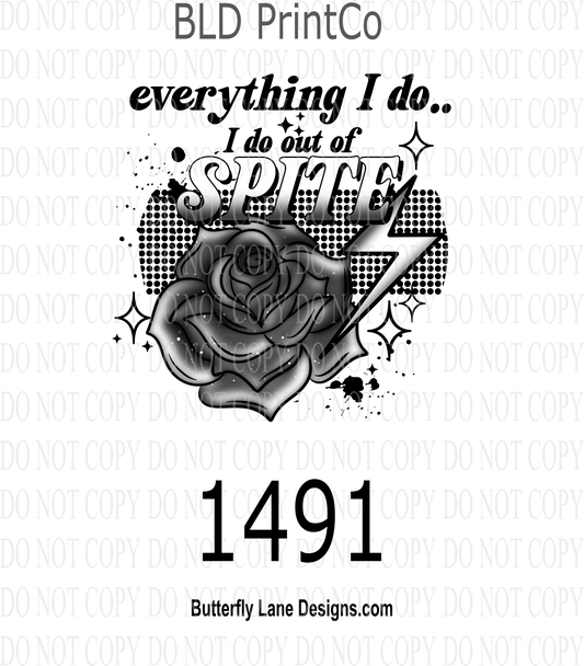 Everything I do; I do out of spite