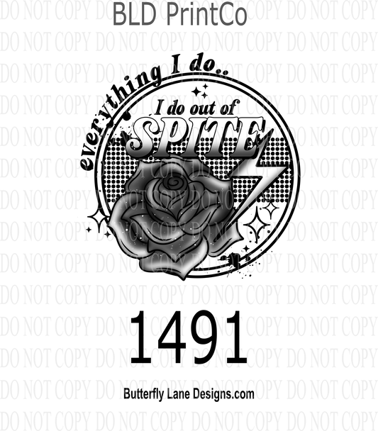 D1491 Everything I do; I do out of spite