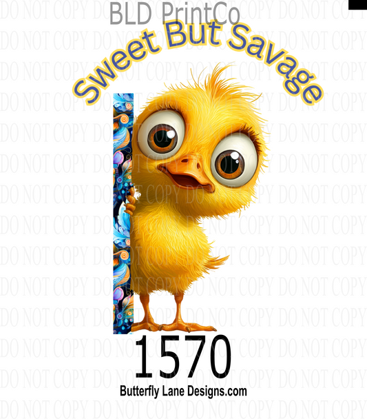D1570 Sweet but savage