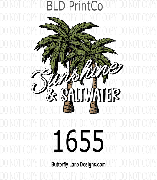 D1655 Sunshine_And_Saltwater_Palms