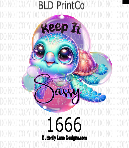 D1666 Keep it Sassy