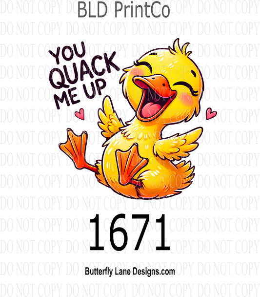 D1671 You quack me up
