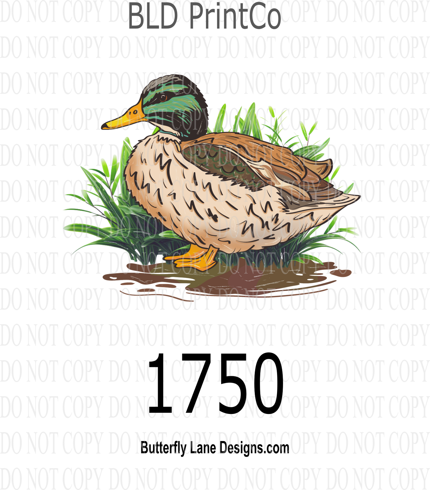 D1750 Mallard Duck