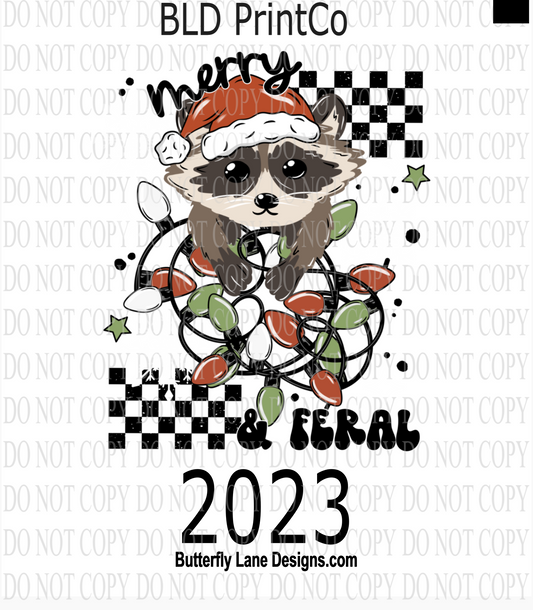 D2023 Merry & Feral Raccoon