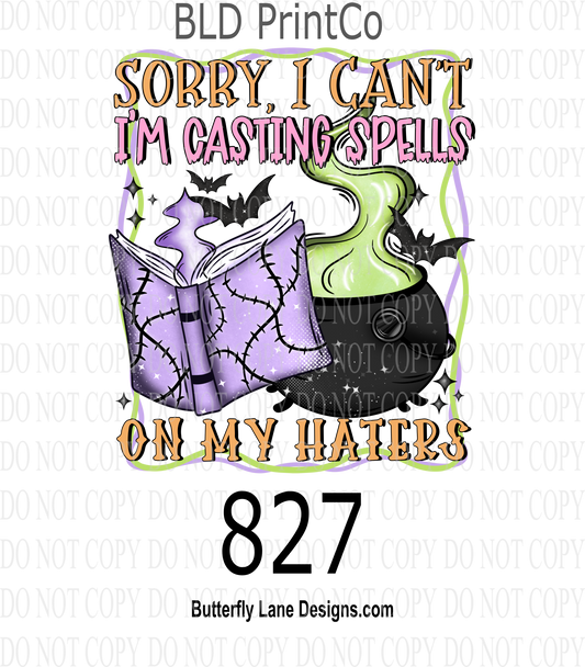 D827 Sorry Can't , I'm casting spells on my haters