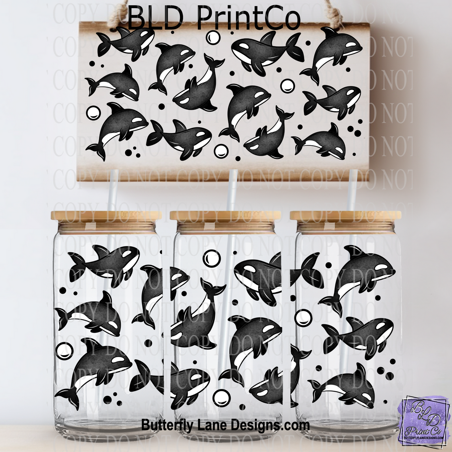 L531 Whales- Killer Whales