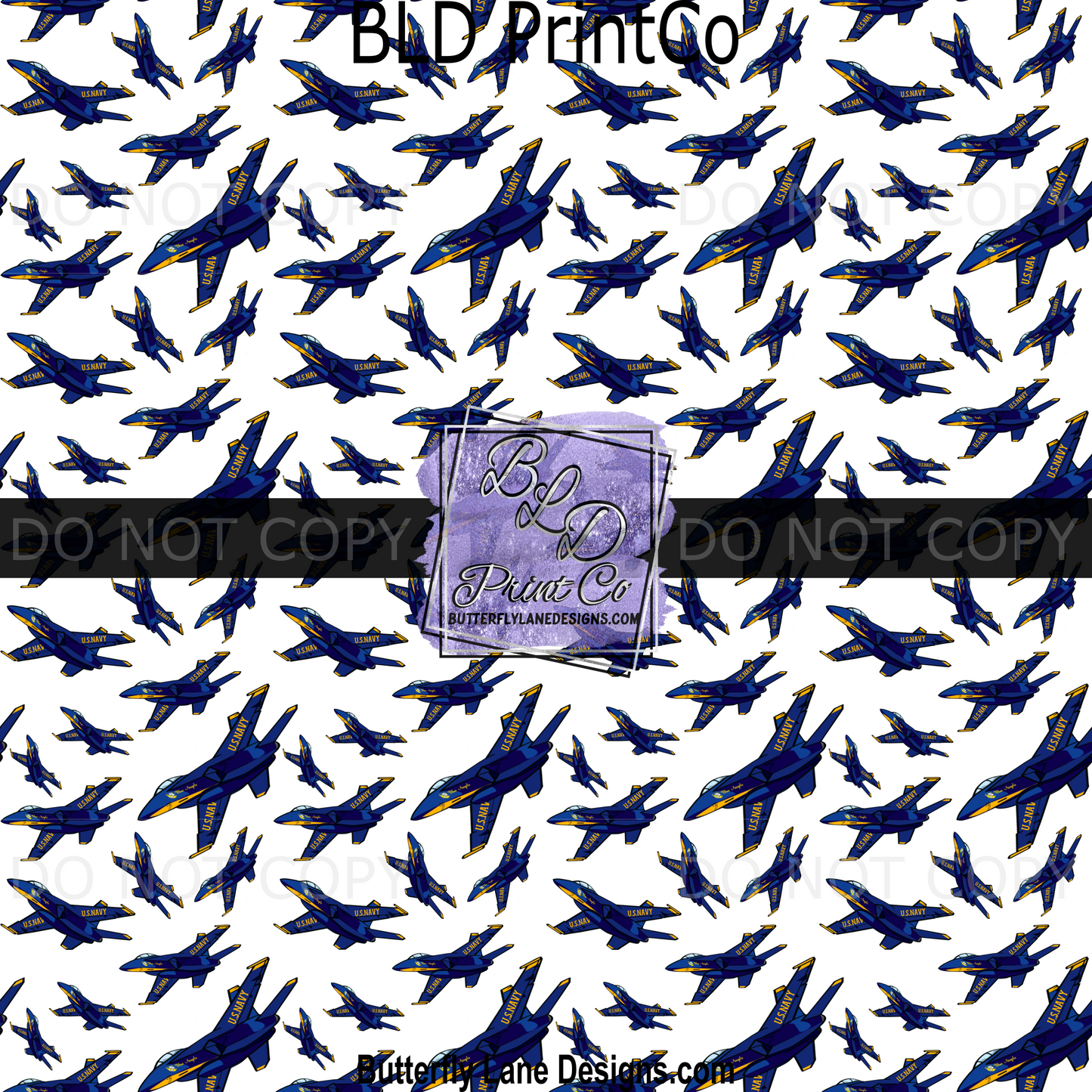 Blue Navy Plane PV 1967