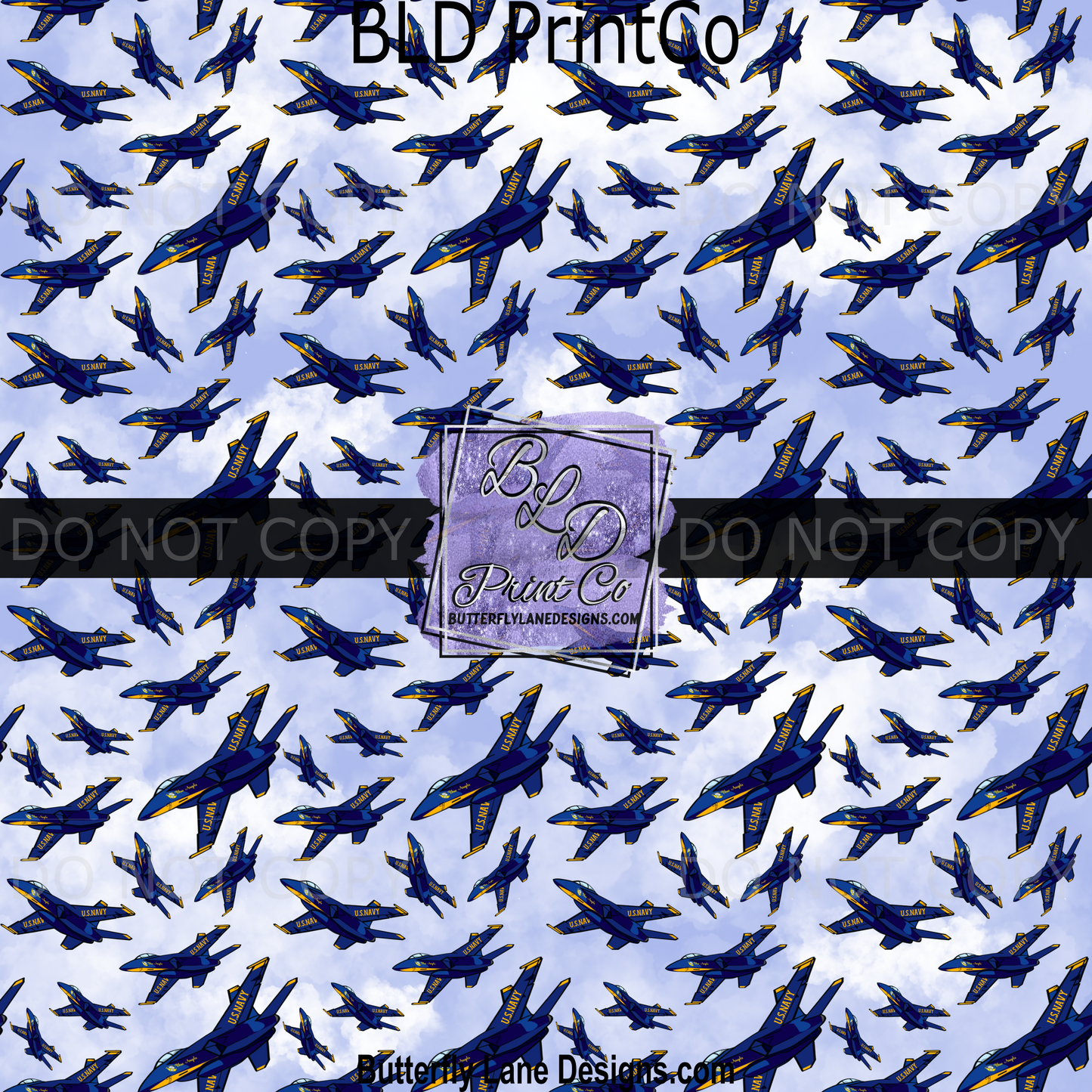 Blue Navy Plane- Sky PV 1968