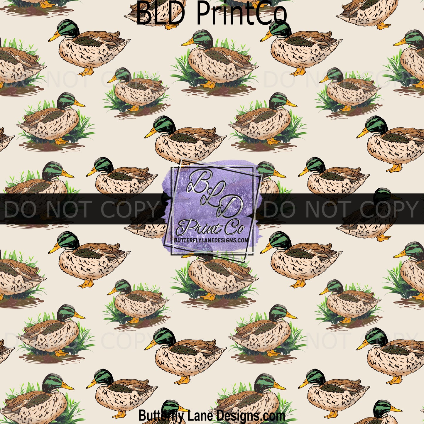 PV 2087 Mallard Duck