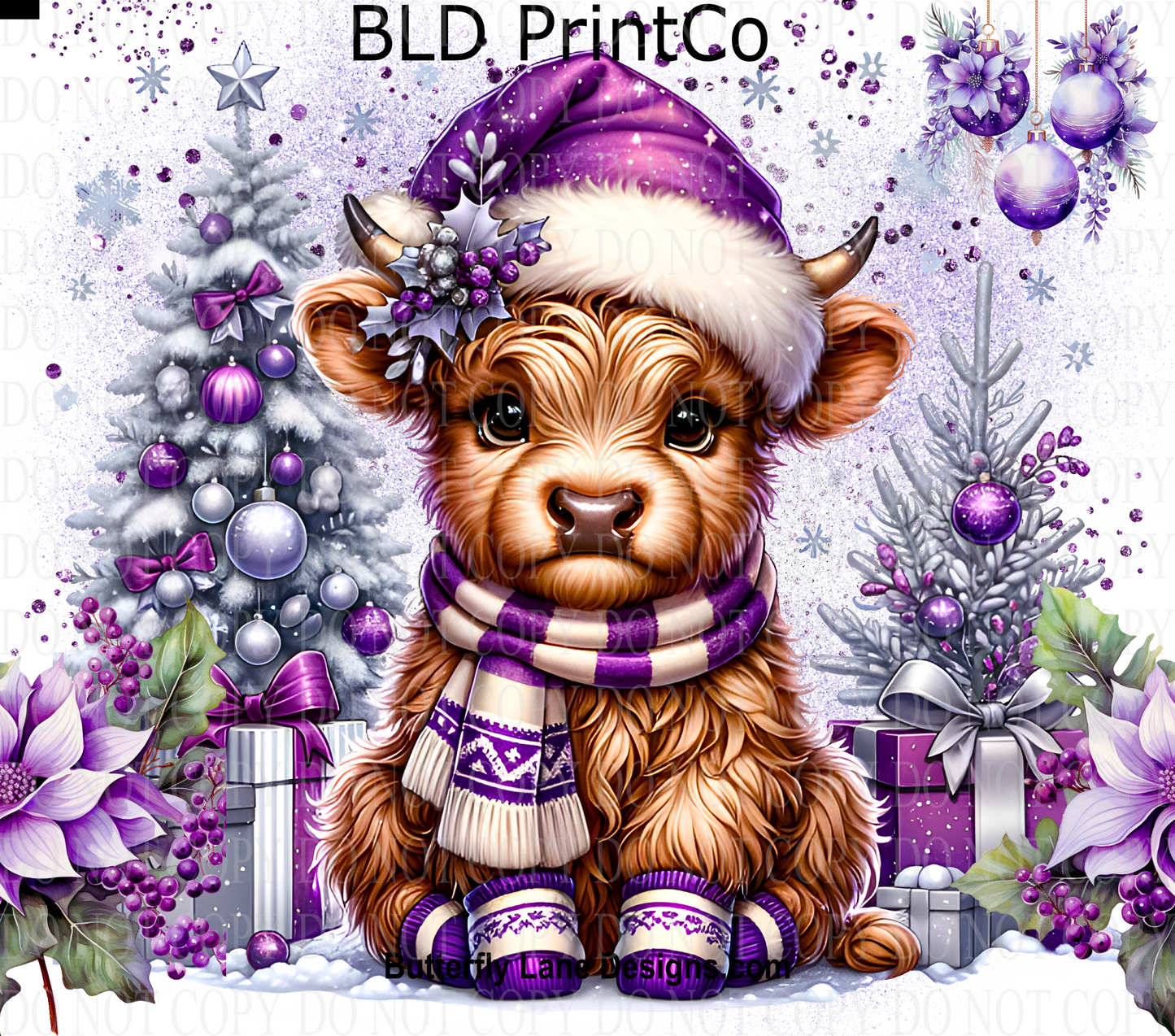 W369 Highland baby cow- purple