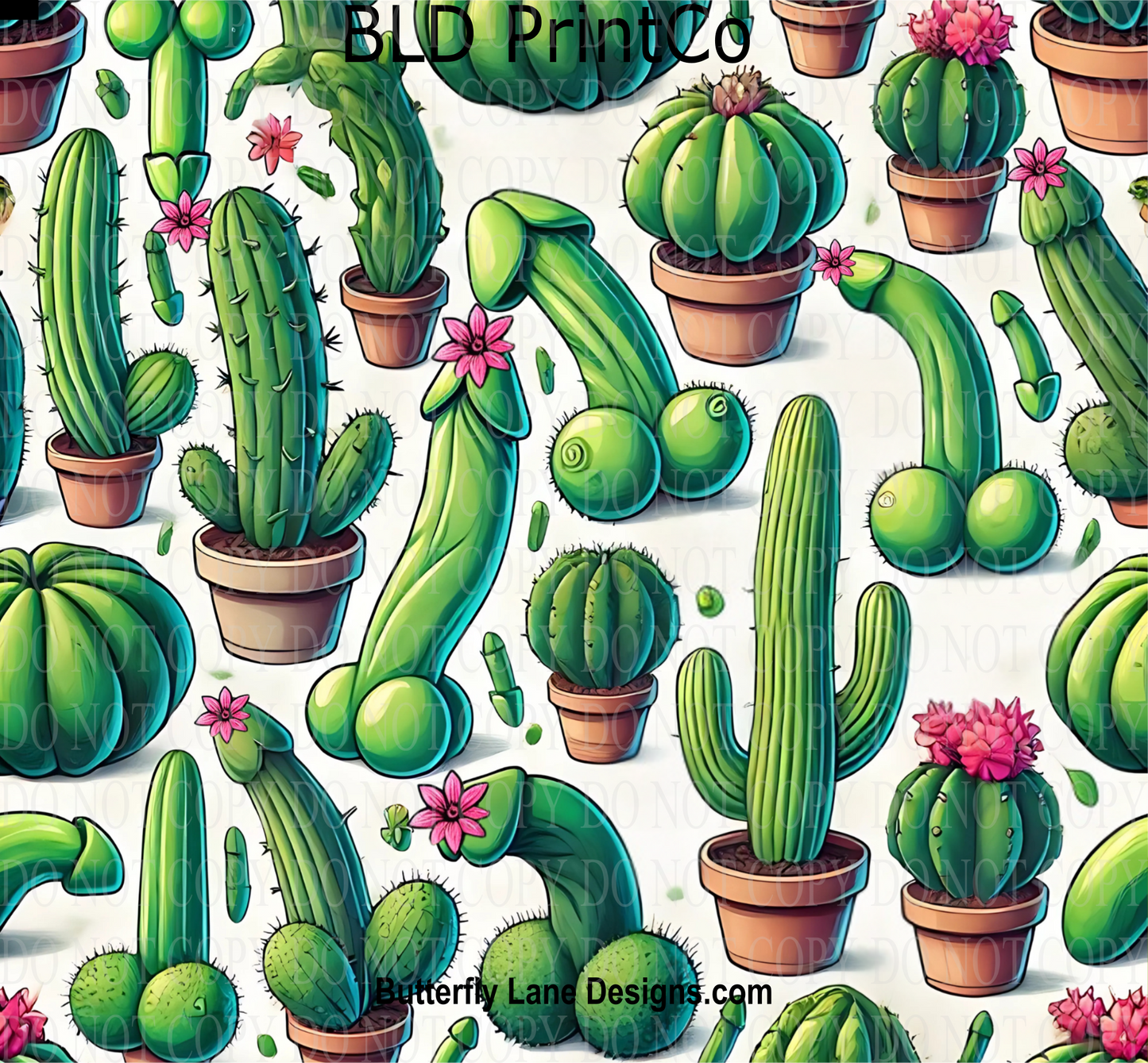 W527 Prickly Peen Cacti
