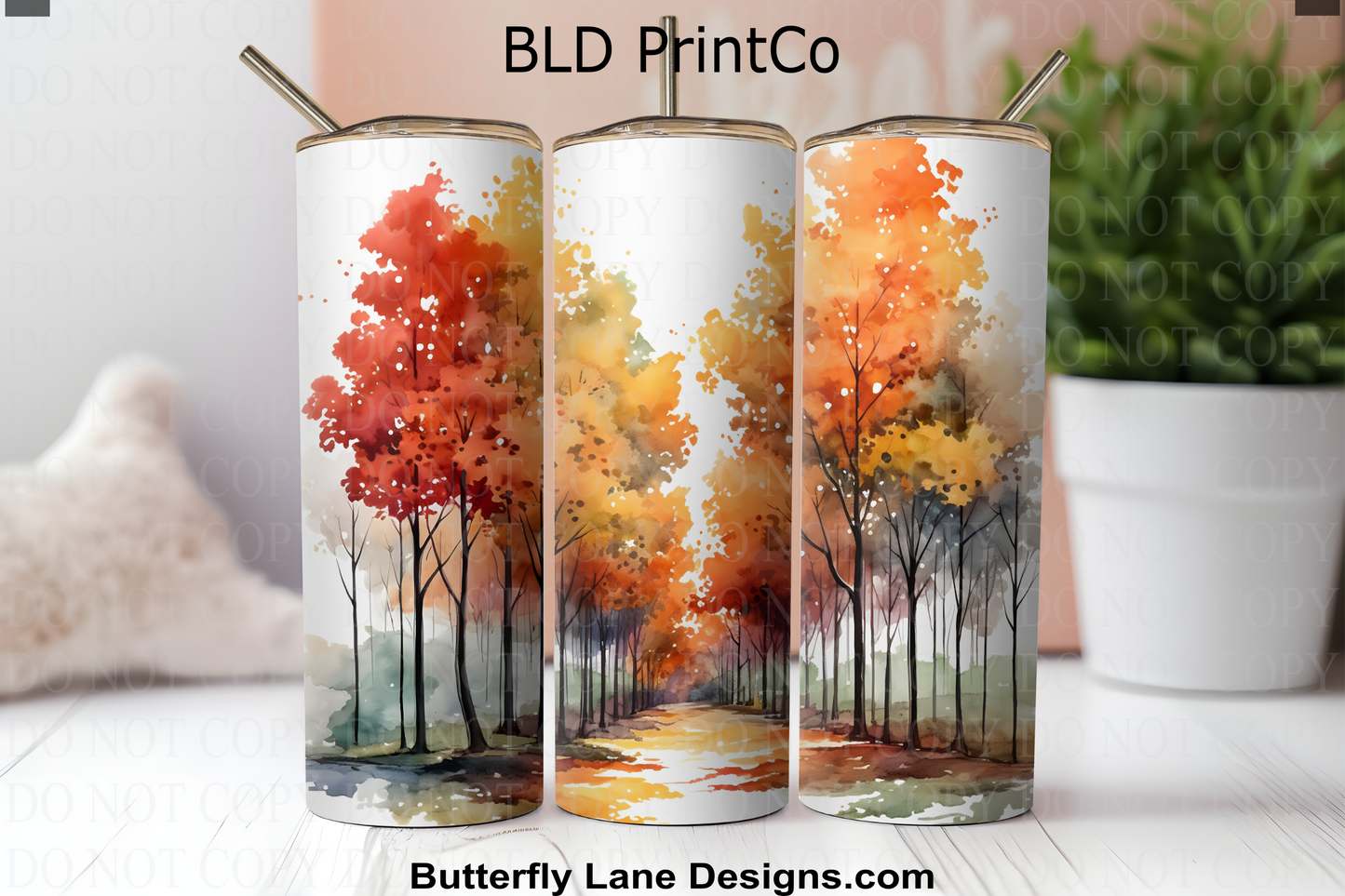 W808 Serene Fall