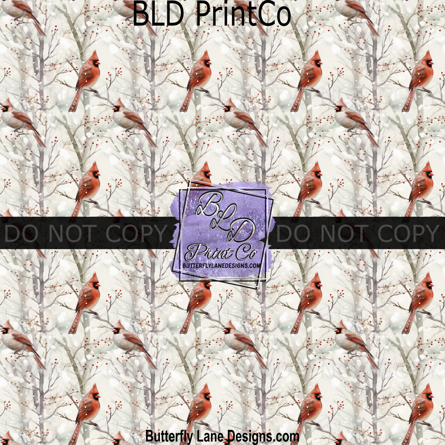 Winter Cardinals - PV 1595