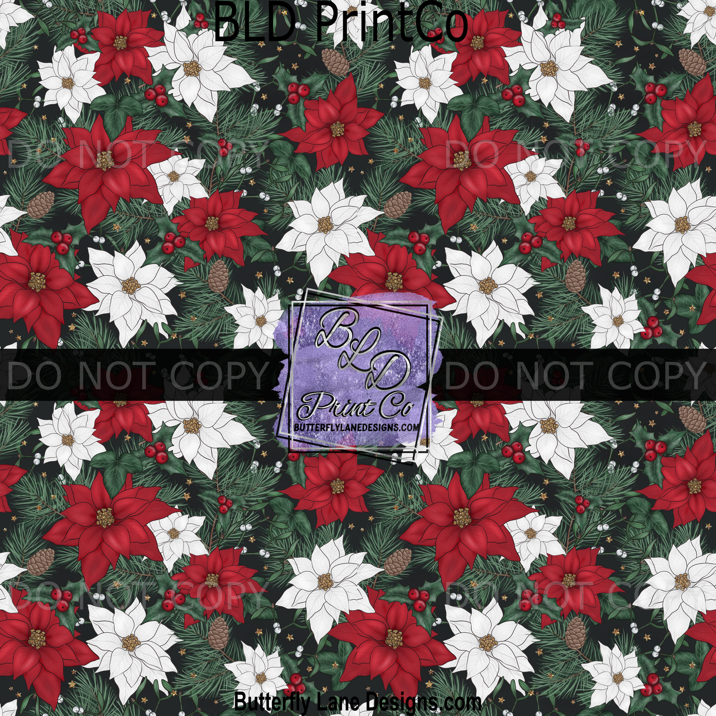 Winter Poinsettia PV 1598