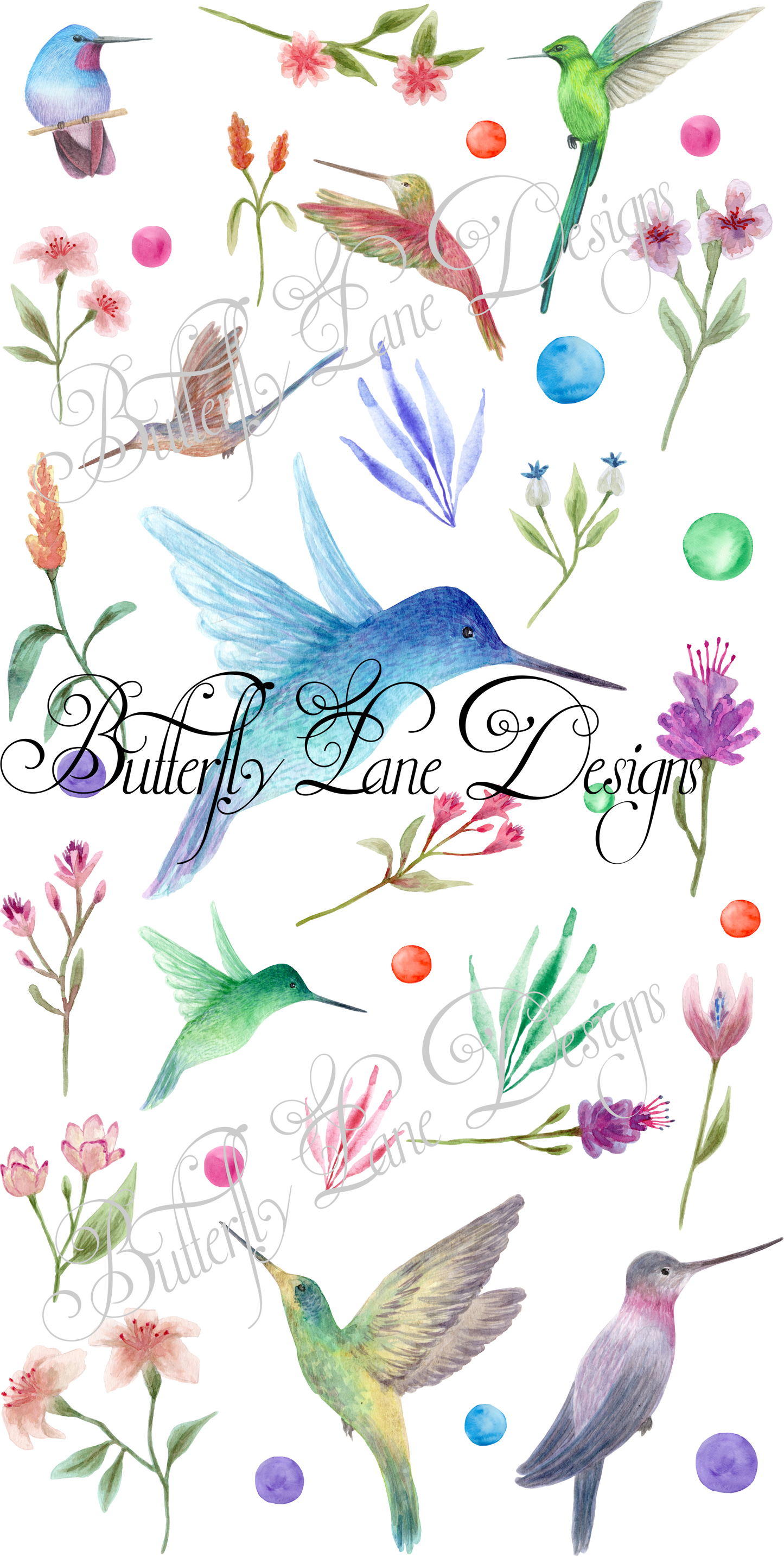 Humming Bird Lane- Light Pastel watercolors :: V.C. Sheet