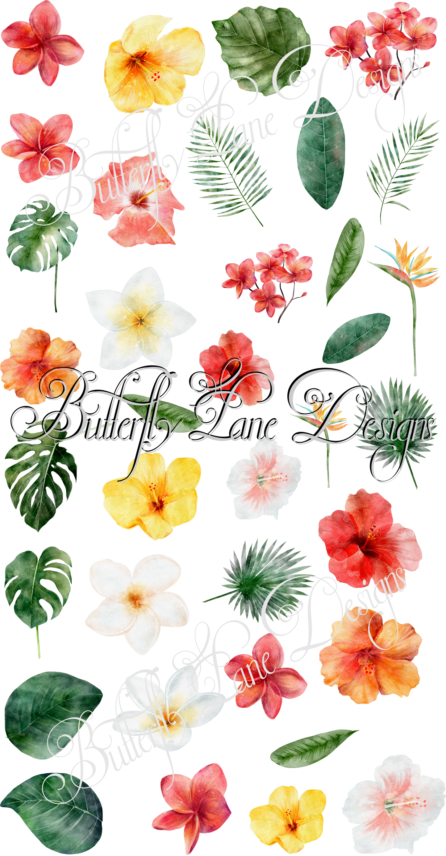 Princess Layla- Tropical Flowers 1 :: V.C. Sheet