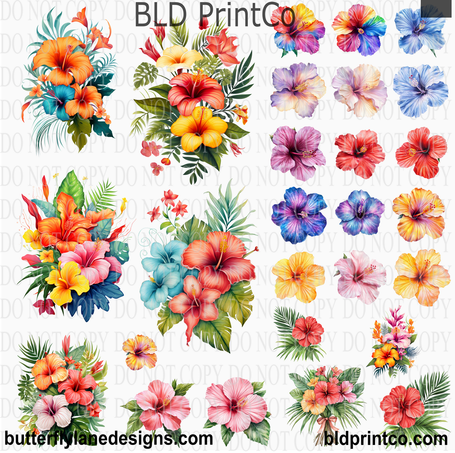 Tropical Hibiscus Clipart | Floral Bouquets & Blooms | CAPS85