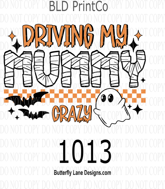 D 1013 Driving_Mummy_Crazy