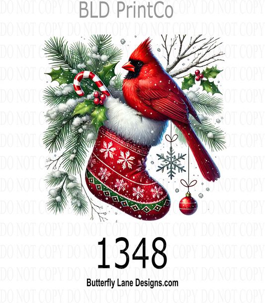 D1348 Winter Cardinal