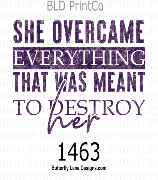 D1463 She overcame everything that was meant to destroy her