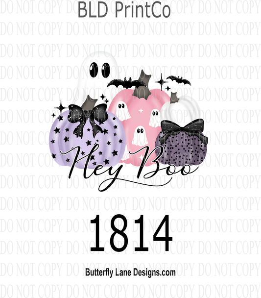 D1814 Hey_Boo