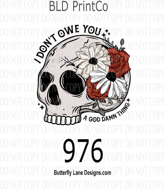 D 976  I don't you a G Damn Thing-Skelly