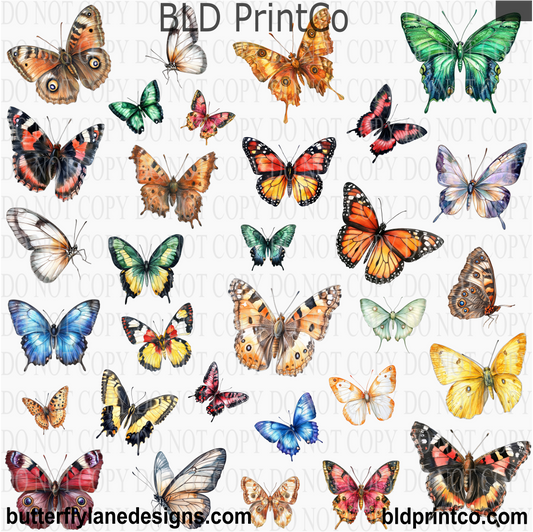 Vintage Butterfly Assortment | Watercolor Insect Sheet - UV DTF Decal Element Sheets CAPS 97