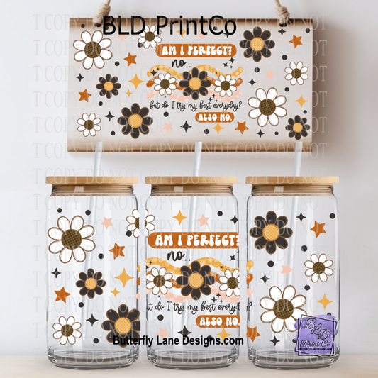 L836 Am I perfect? No.  Do I try my best everyday? Also No.