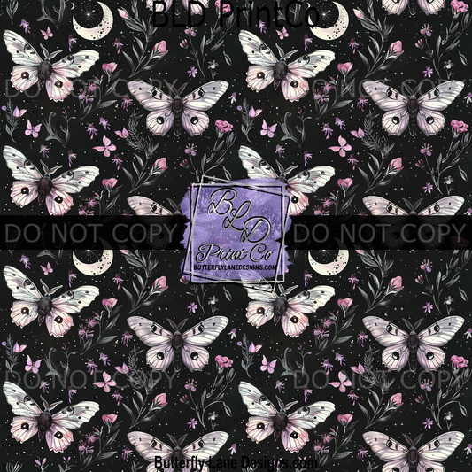 PV 1977 Spring Night Moths