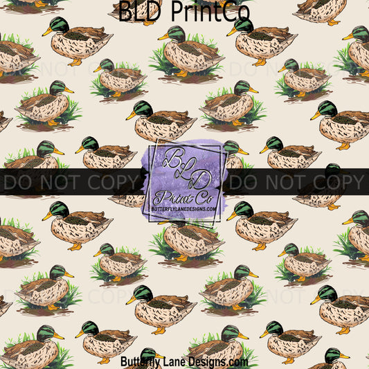 PV 2087 Mallard Duck