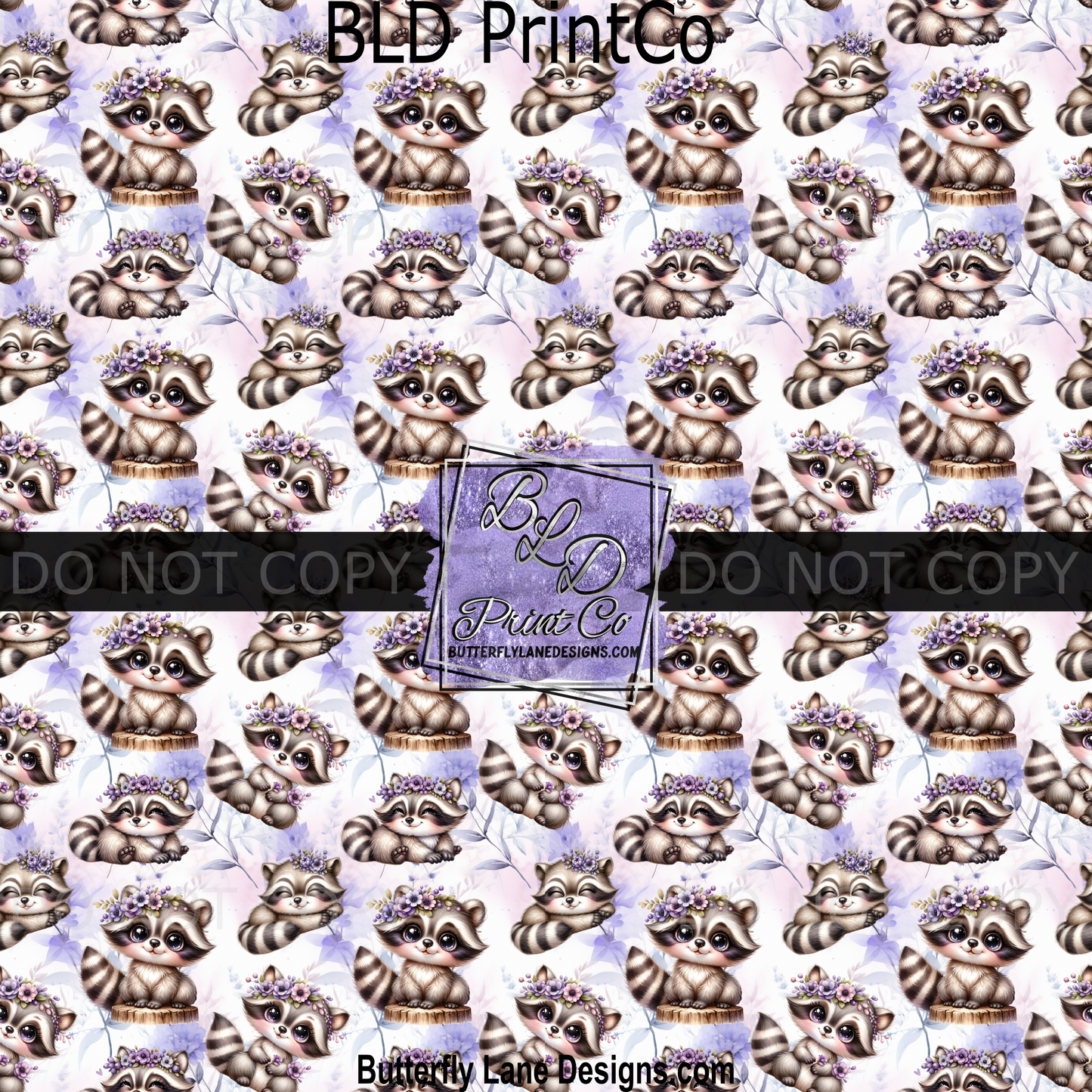 PV 2299 Little raccoon cute