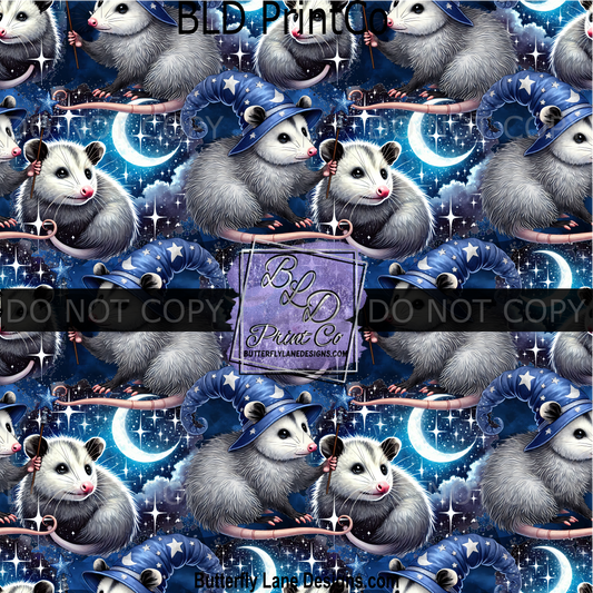 PV 2322 Celestial possum