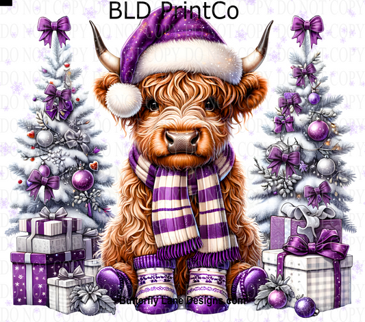 W381 purple highland cow