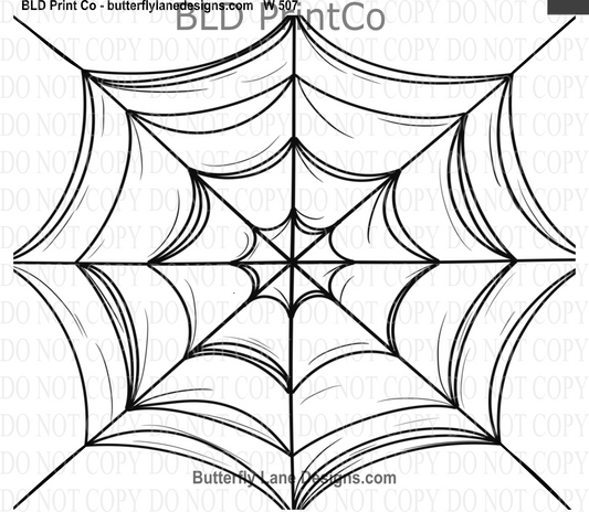 W507 Spider Web