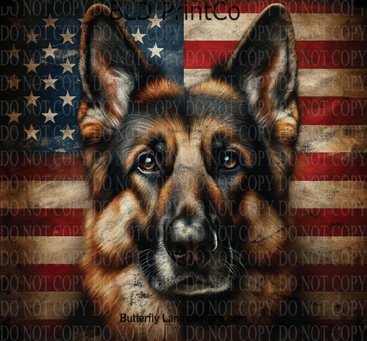 W554 US Flag - GSD -German Shepard