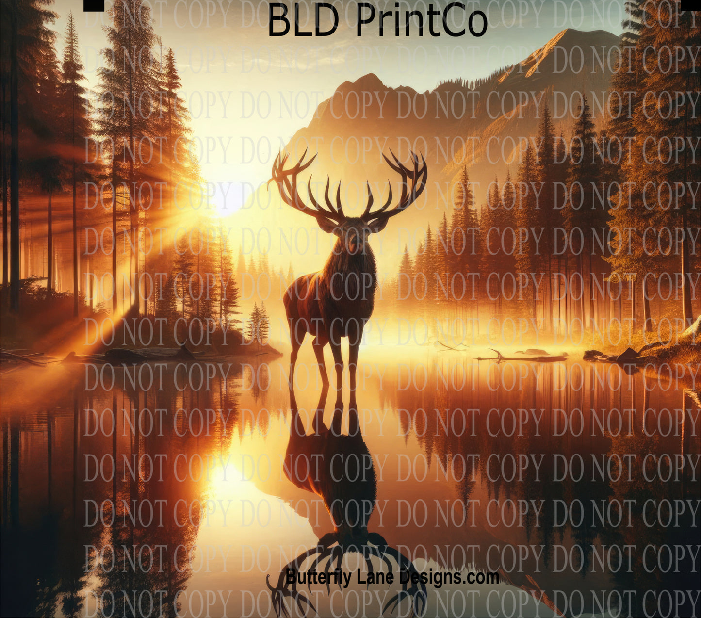 W746 Land of the buck