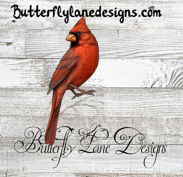 Winter Cardinal on a branch :: Clear Cast Decal